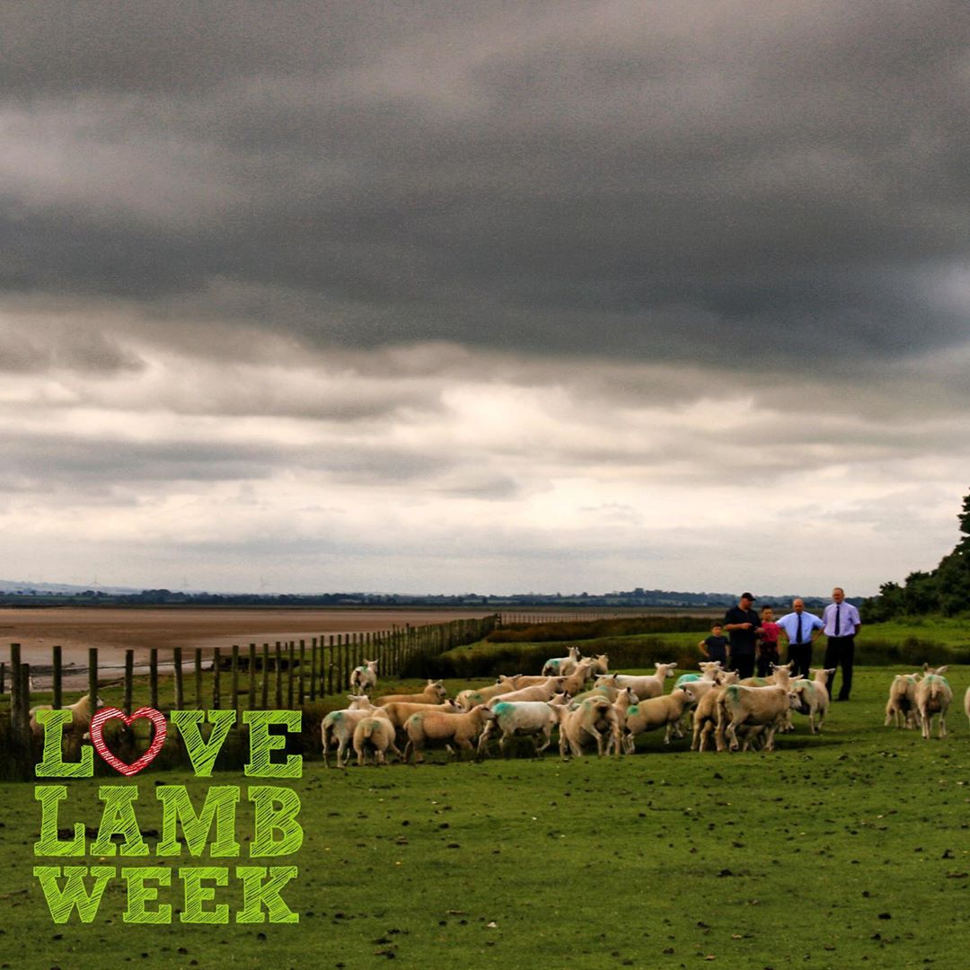 Alongside the great Cumbrian and Northumbrian lamb we sell throughout the year, we offer regional specialities Solway Salt Marsh Lamb in the summer months and Lakeland Herdwick Lamb in the New Year. 🐑💚
Salt Marsh lamb is in stock right now, find out what makes it so unique here: http://cranstons.net/all-about-salt-marsh-lamb/

#lovelambweek2019 #saltmarshlamb