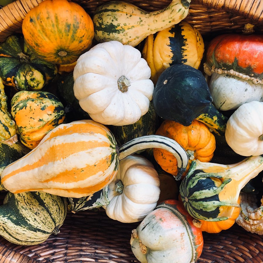 There is a lovely autumnal vibe coming from our fresh fruit and veg displays at the minute.
Why not pick up some ornamental gourds, make your home look spooky for Halloween! 🎃👻 .
.
#halloween #pumpkin #gourds #vegetables #autumn #autumnvibes #weather #spooky